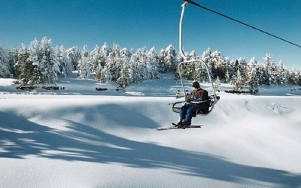 Στιγμές χαλάρωσης και ξεγνοιασιάς στο Ελατοχώρι